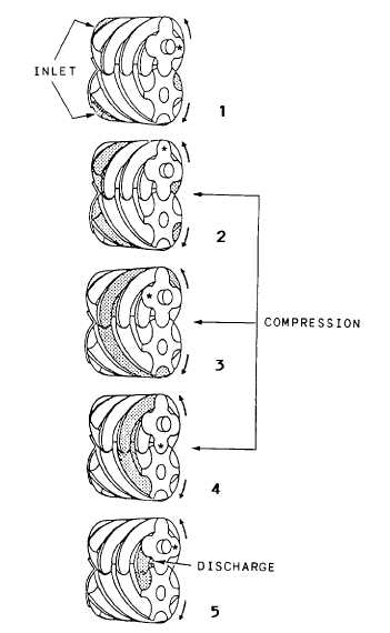 The compression cycle of a screw type of air compressor